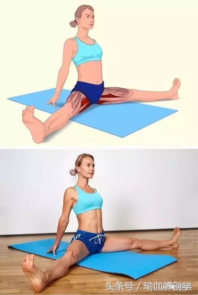 筋长一寸寿延十年瑜伽,瑜伽解剖矢状面与额状面