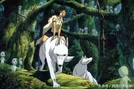 小偷家族日本大原海水浴场取景,小偷家族特写镜头