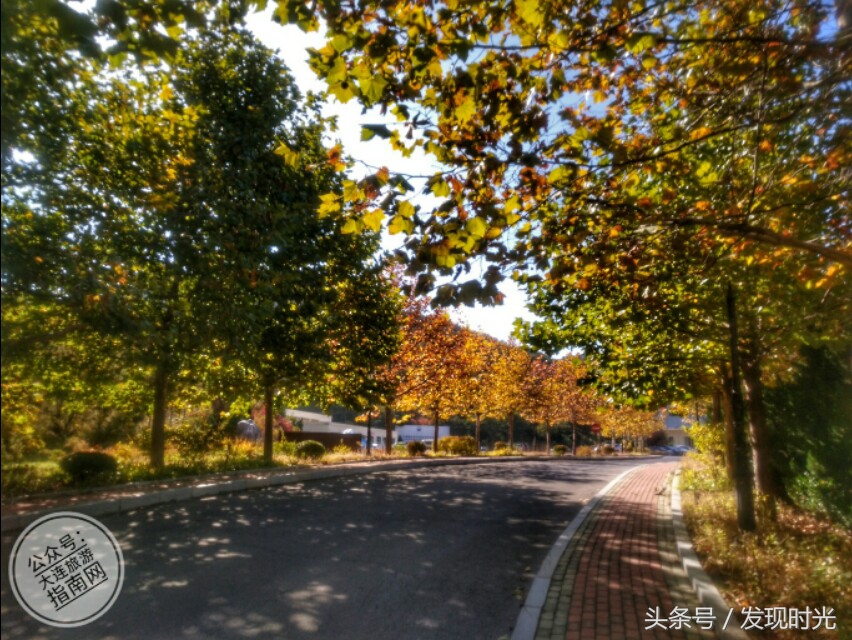 大连高尔夫球场推荐,大连夏丽高尔夫球场