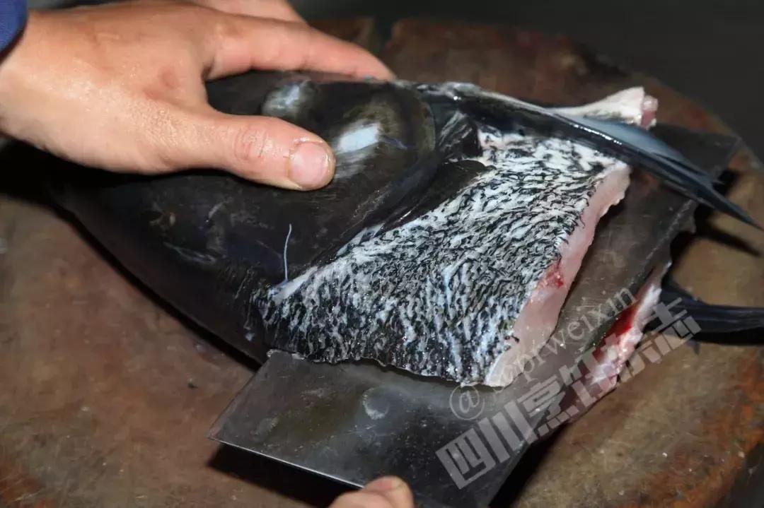 太牛了！吃这道菜，食客需提前预定，每天限量供应！到底是啥菜？