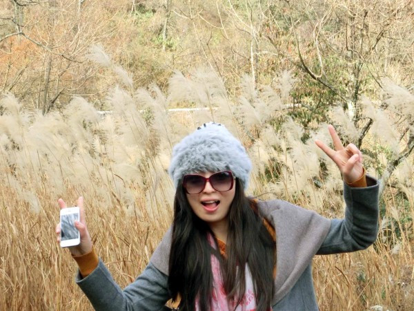 张家界国家森林公园天门山两日游,张家界天门山自由行攻略一日游