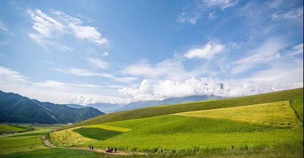 大美青海旅游自驾拼车,大美青海旅行天堂