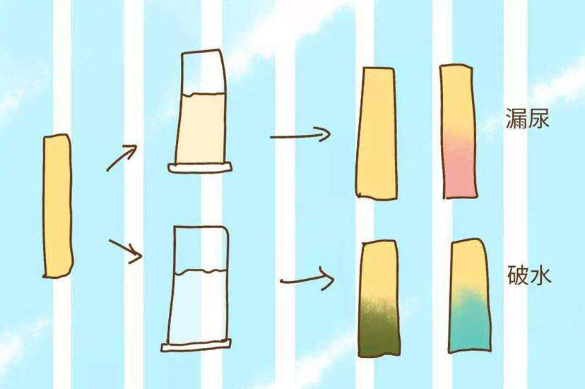 破水跟漏尿怎么区分,破水和漏尿如何区分