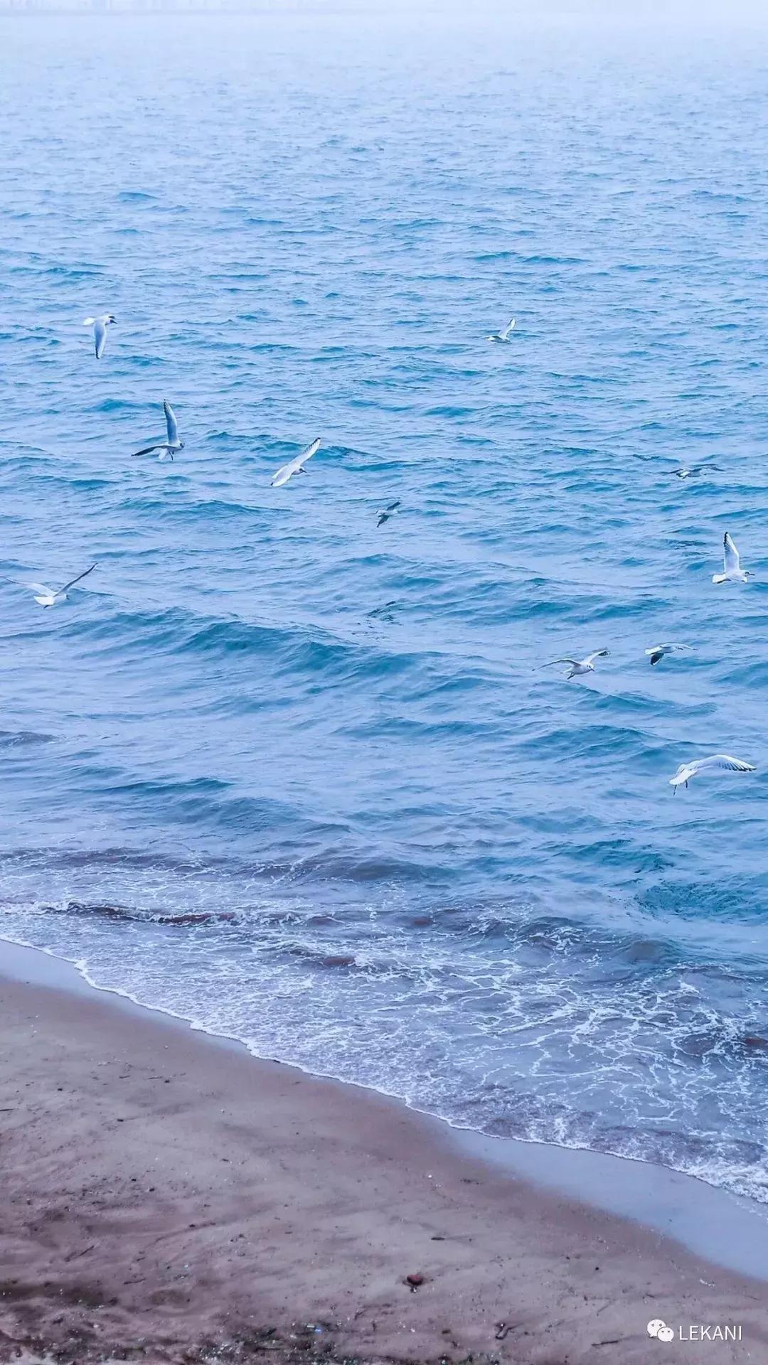 你的初心还在吗,十年以后你的初心还在吗