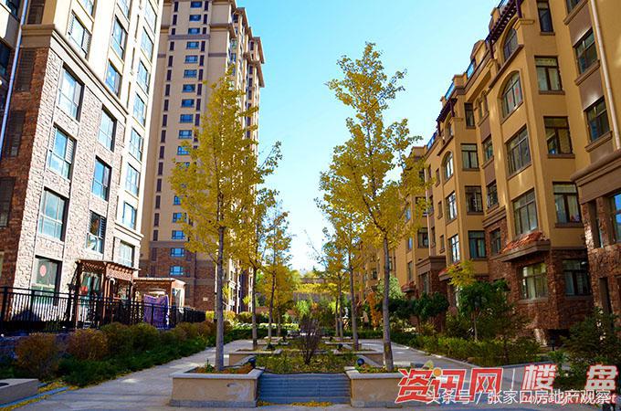 张家口大开间公寓,张家口大草原公寓