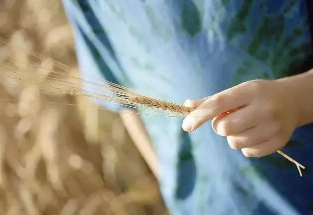 剖腹产的孩子该怎么教,剖腹产缺奶吃什么