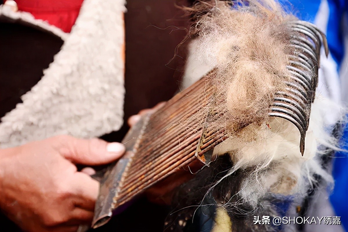 比羊绒更保暖的是什么,比羊绒还细的羊毛