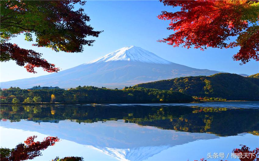 日本免税店遭中国游客“横扫”,回国却要交上万罚款,心都凉了