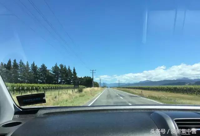 新西兰租别墅攻略,新西兰租房最全攻略