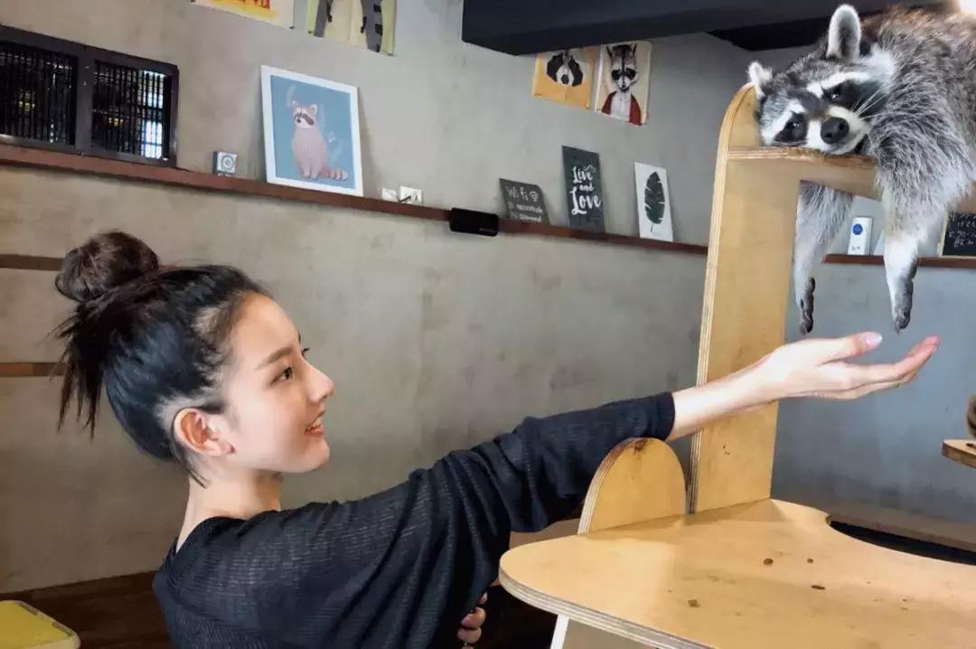 明星一般秋天都怎么穿搭又时尚,明星穿搭技巧冬季