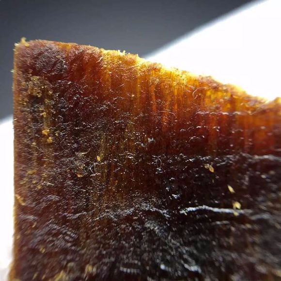 真假奇楠沉香种苗鉴别方法,蓝奇楠沉香真假辨别图