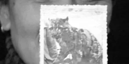 梦醒时分中国好歌曲,梦醒时分云南完整版