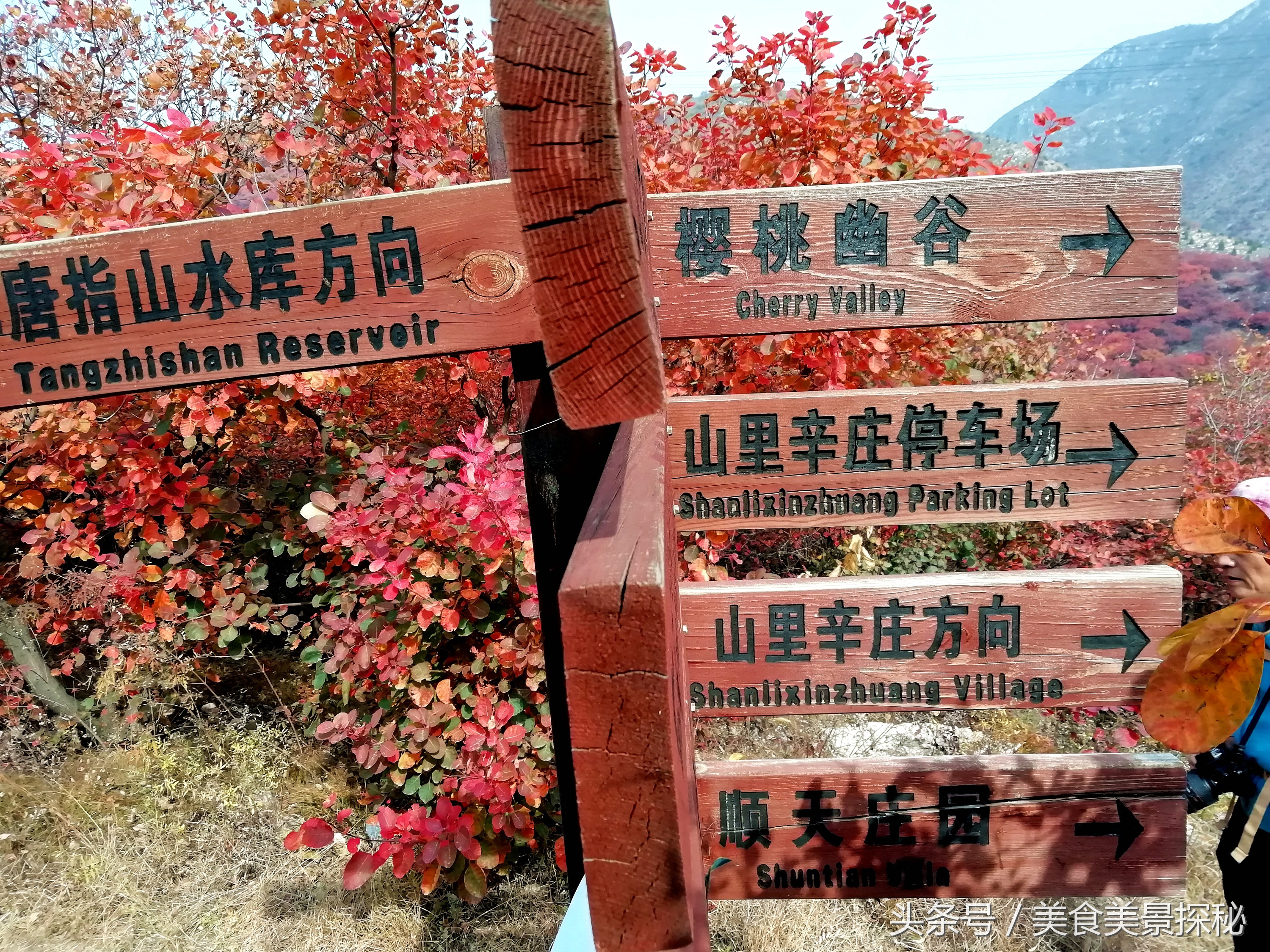 赏红叶何须去香山,赏红叶除了香山还能去哪