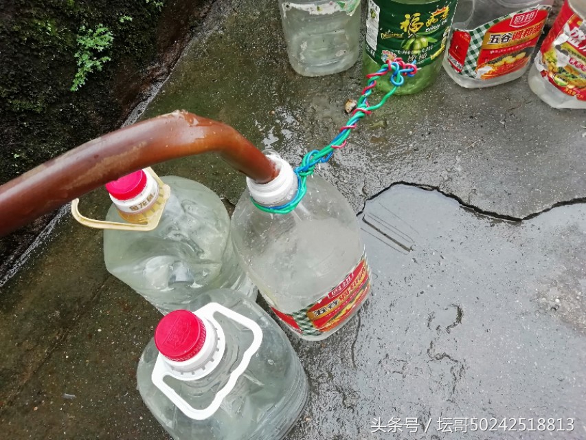 村里的一口古井,村口的一口古井