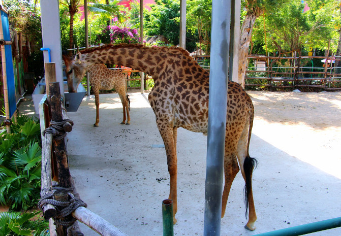 中国旅游前必看攻略,旅游攻略看完这篇文章轻松搞定