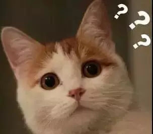 全国最魔性的方言东北话,最难懂的方言中国方言排行榜