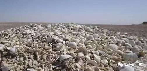 美爆了一大波青海冬日奇景,青海神秘奇景