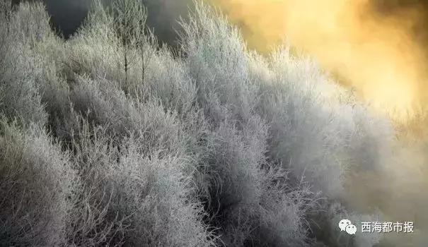 美爆了一大波青海冬日奇景,青海神秘奇景