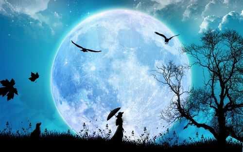 地球极圆，月亮更圆，太阳圆得超乎想象，这个星球圆到匪夷所思