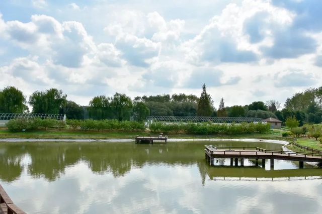 探秘2500亩魔都后花园!欧式别墅独栋、宠物乐园、动物农场高尔夫