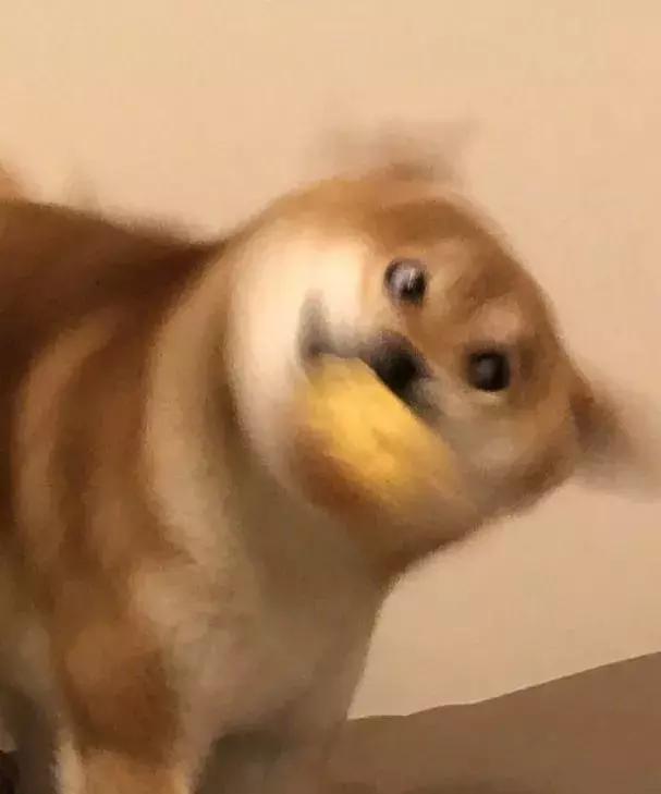 搞笑段子：怎么，想让我搞基？