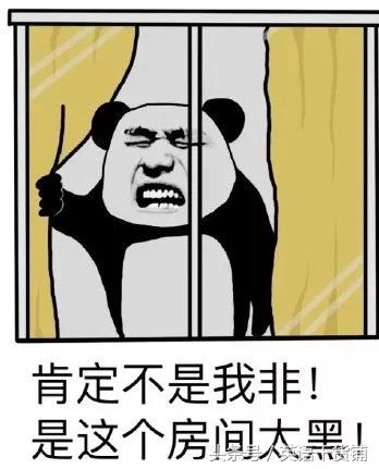 信小呆怎么火了,信小呆中了什么