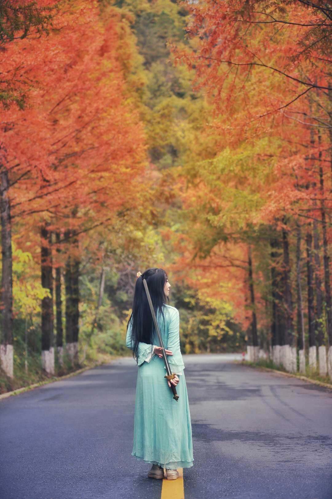 秋景西安好去处,雨后遇晴天留坝寻秋色
