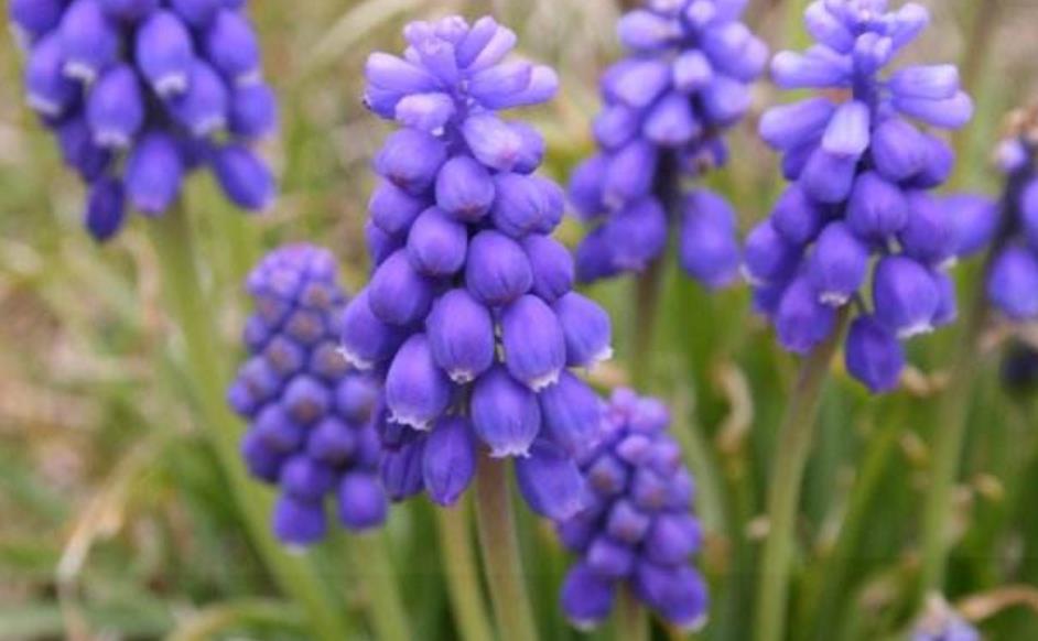 善待没脾气的人,做人要善待每一个人