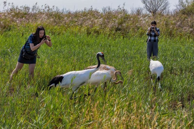 东营黄河入海口旅游攻略,东营河海交汇旅游攻略