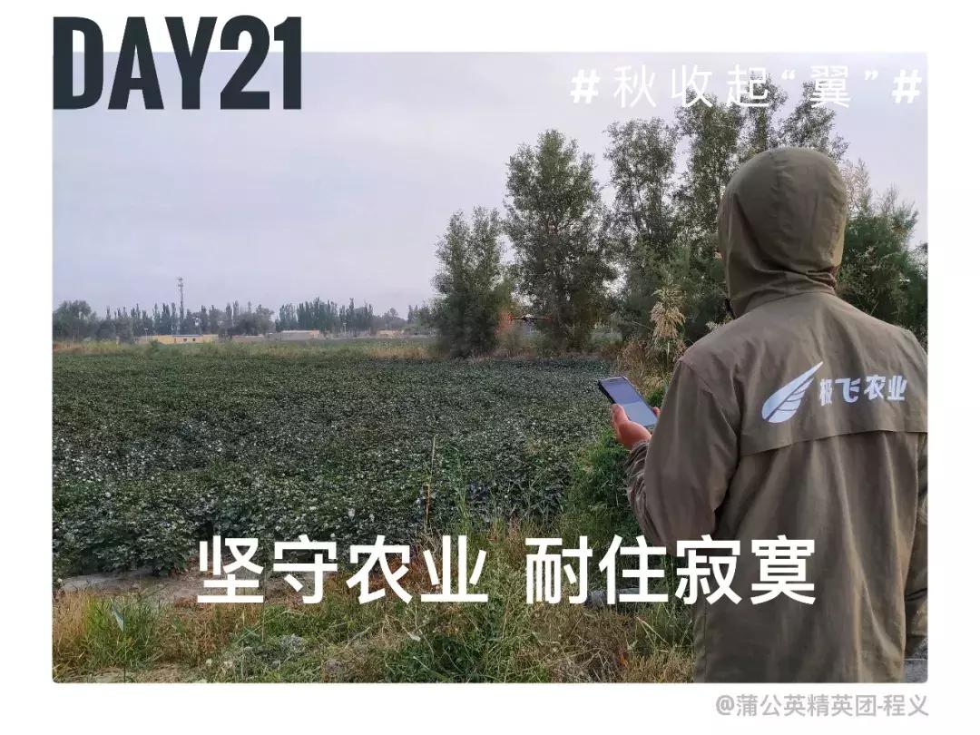 备好酒，听我们秋收起“翼”的故事！