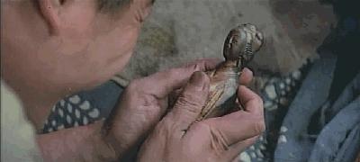 一部三观尽毁的国产片,有部人吃人的电影