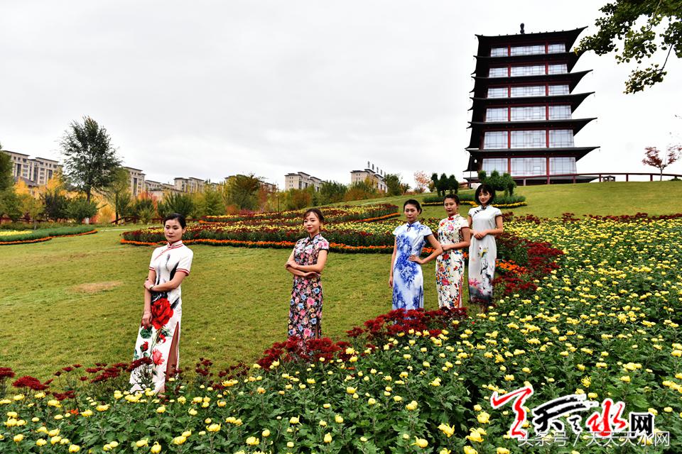 天水麦积菊展,金秋菊展日记