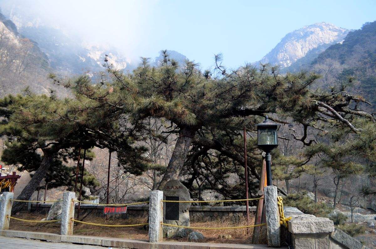 笠翁对韵中的精美词句,笠翁对韵的国学心得