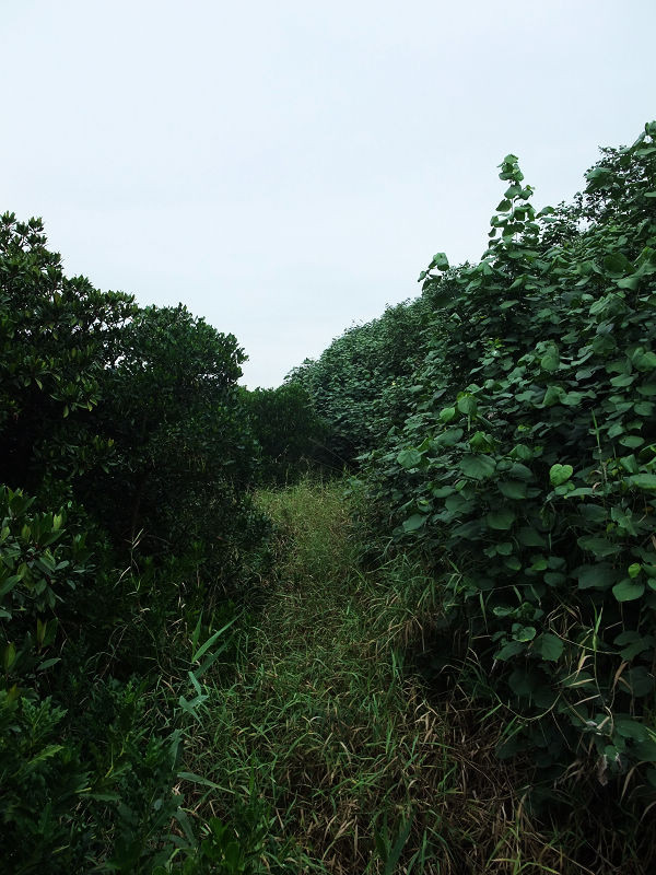 穷驴500块囧囧游香港（详细攻略带图）