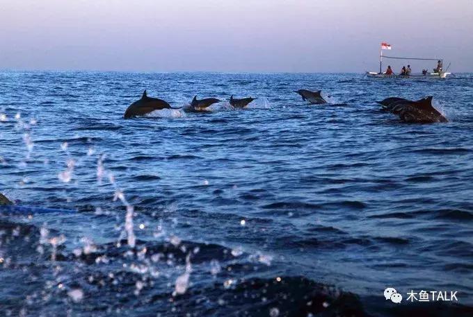 巴厘岛游玩必备攻略,巴厘岛游玩攻略最佳时间