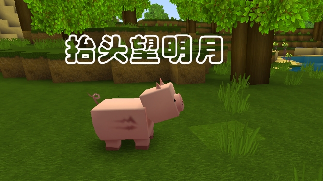 迷你世界老玩家才知道的小动物,迷你世界五种能变成坐骑的生物