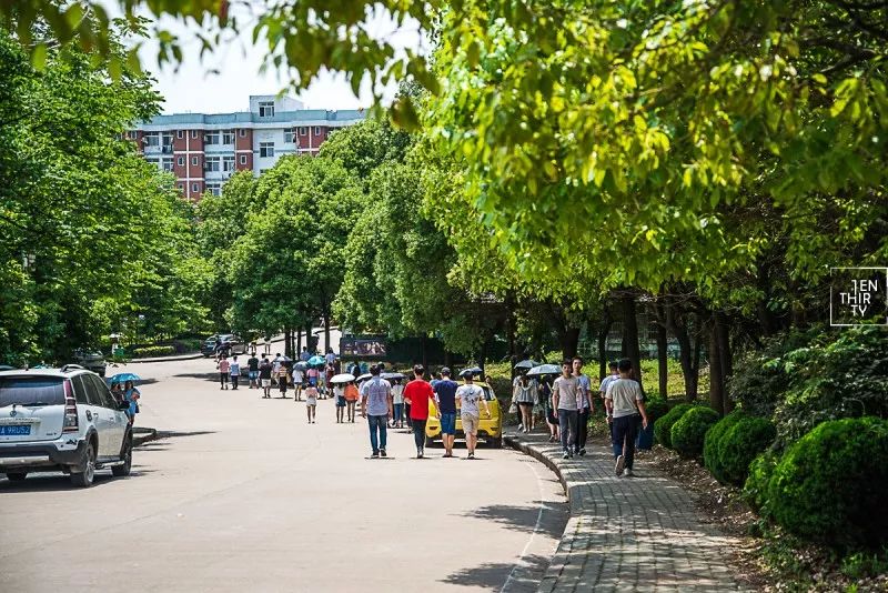 武汉每一辆901，都承载着江夏上万学子的青春！