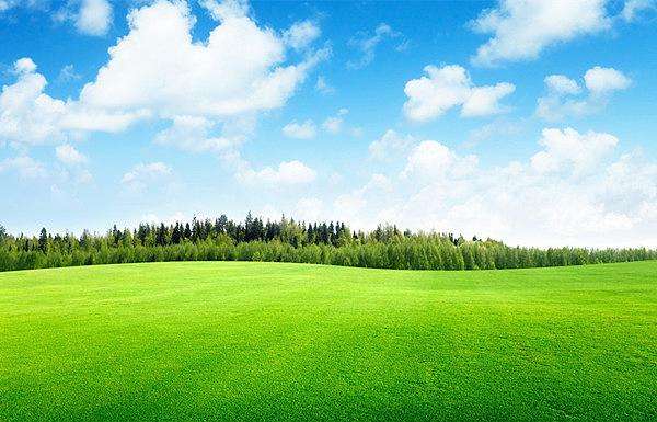 一年级的家长看过来,一年级家长看生字