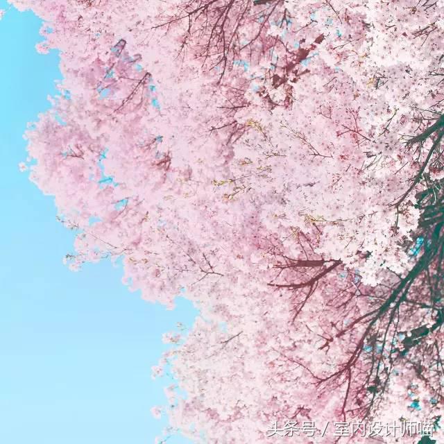 花费350亿拍的电视剧,花费几亿的电影