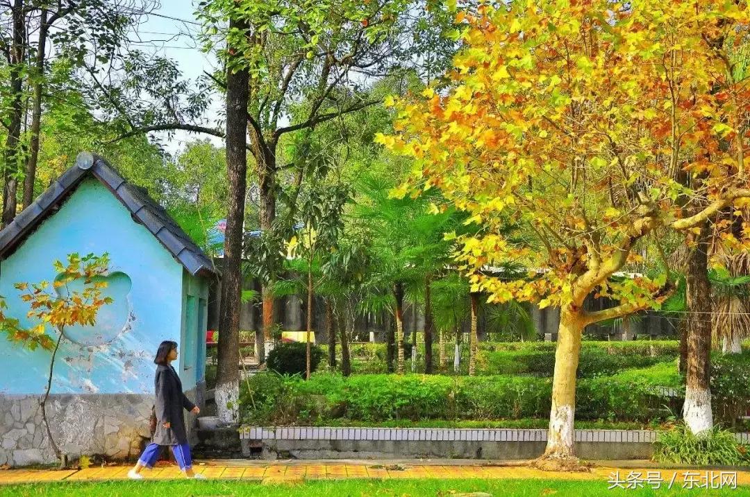 哈尔滨高校打卡,哈尔滨的风向标著名打卡地