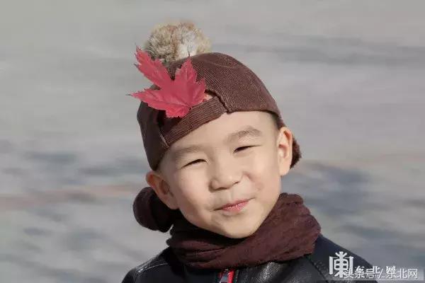 哈尔滨高校打卡,哈尔滨的风向标著名打卡地