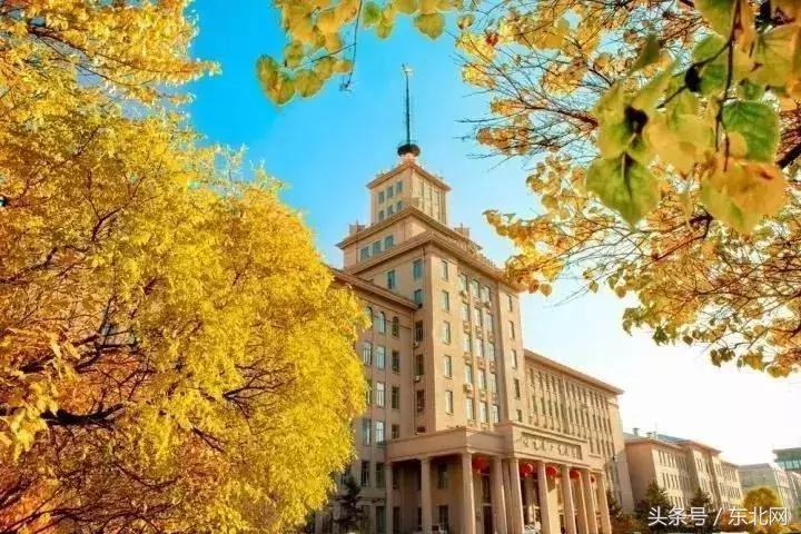 哈尔滨高校打卡,哈尔滨的风向标著名打卡地