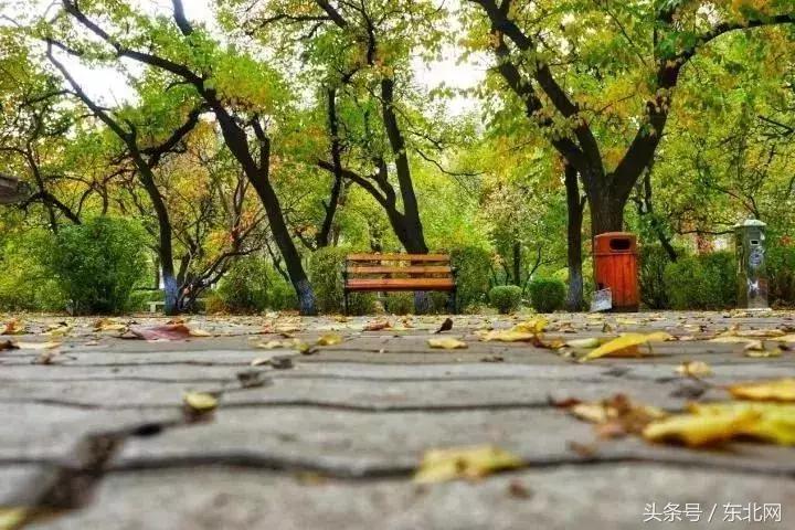 哈尔滨高校打卡,哈尔滨的风向标著名打卡地