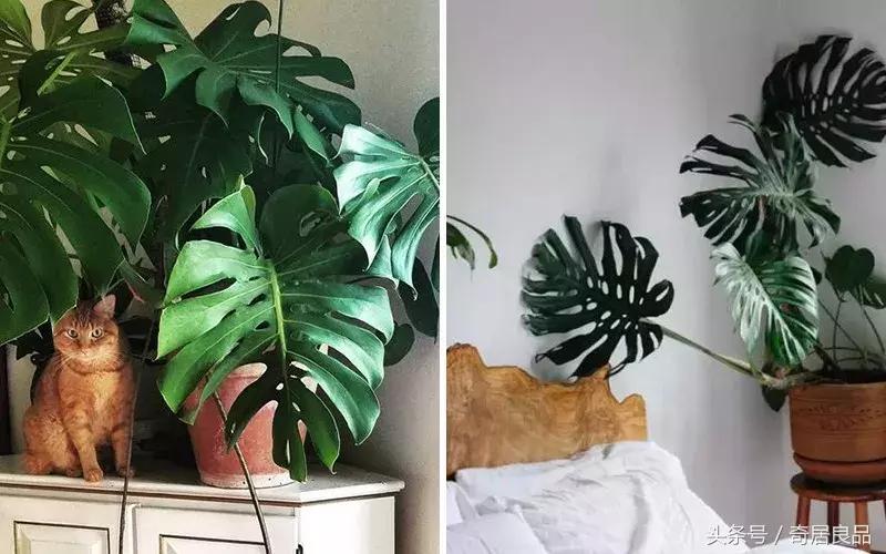 这10件小事，让我在秋日的家里更幸福！