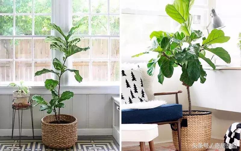 这10件小事，让我在秋日的家里更幸福！