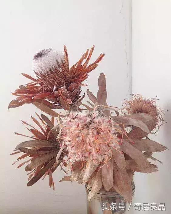 这10件小事，让我在秋日的家里更幸福！