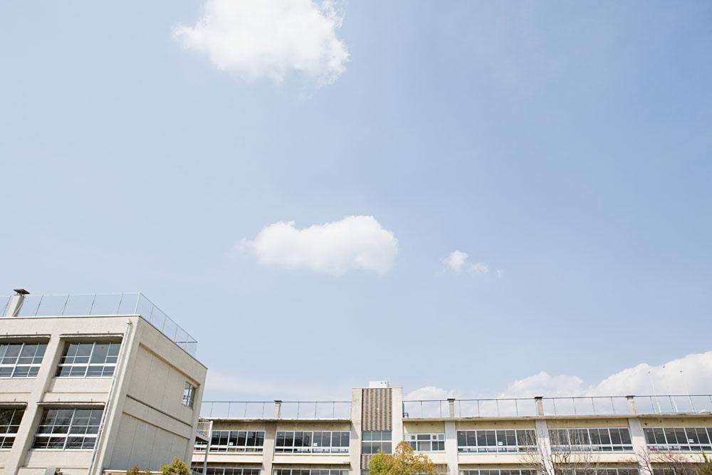 描写校园美好的好句,校园一角的好词好句好段