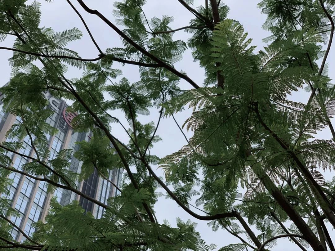 iPhoneXsMax还值得买吗？深度体验后你会有答案