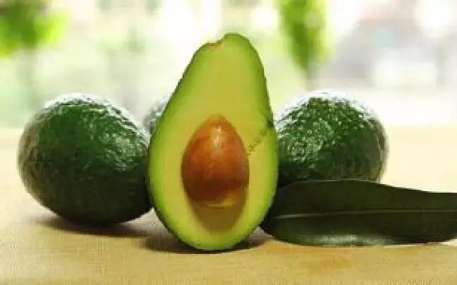 狗狗不能吃的食物完整版,狗狗手术后三种食物不能吃