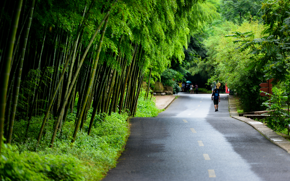 宜兴竹海的风景,推荐一个好的地方宜兴竹海